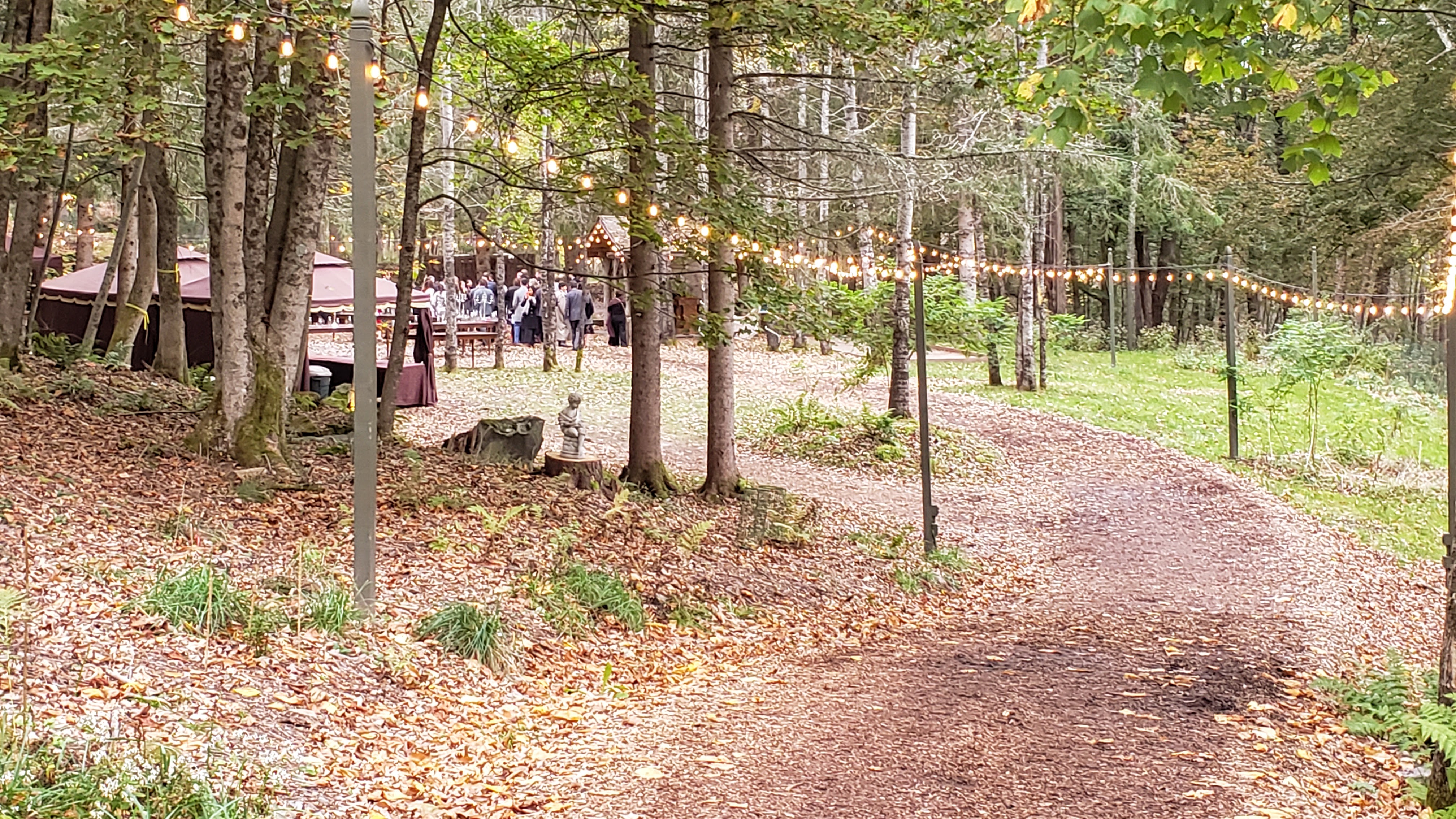 Looking out from the house toward the grove where both the ceremony and the dining took place.