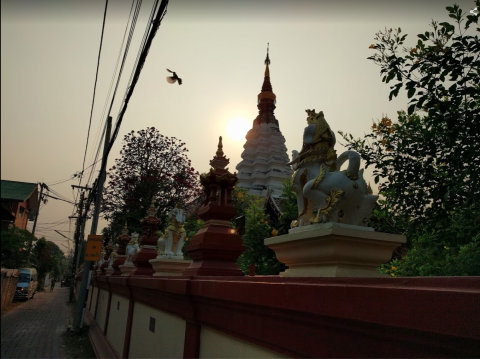 Temple in Chiang Mai, sunrise, bird in flight.