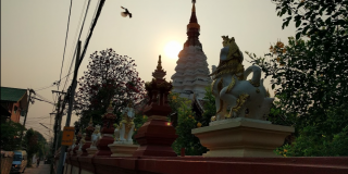 Temple in Chiang Mai, sunrise, bird in flight.